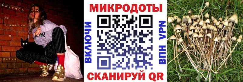 Галлюциногенные грибы Magic Shrooms  гидра   Завитинск 